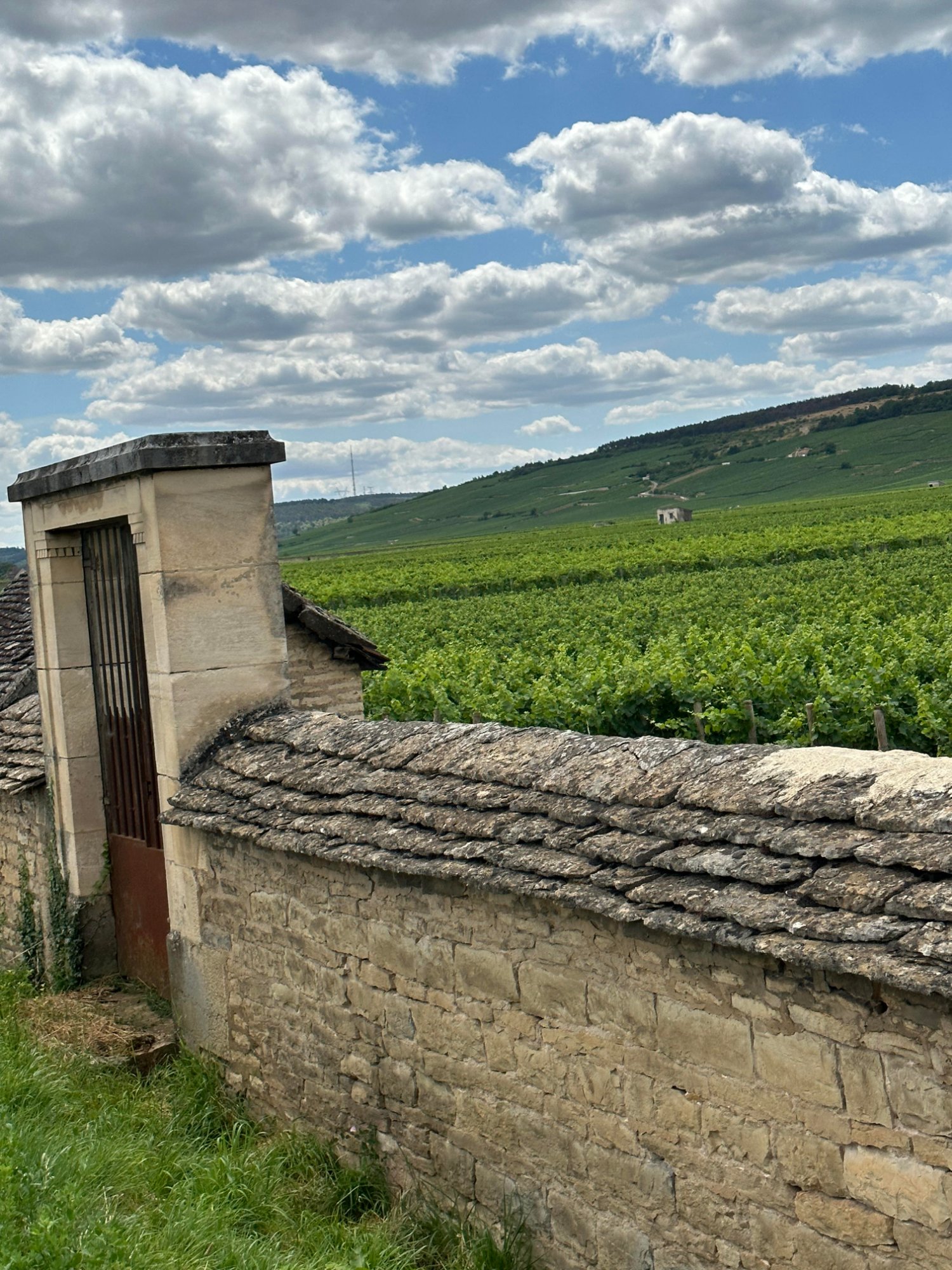 Burgundy & Beaujolais